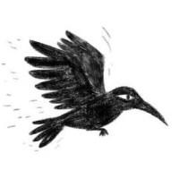 Sophie Anderson – “Heart-stirring storytelling” – The Sunday Times